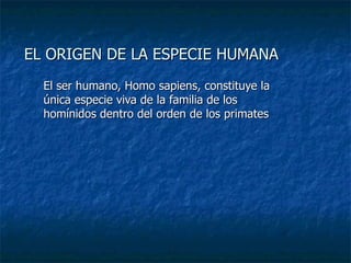 EL ORIGEN DE LA ESPECIE HUMANA El ser humano, Homo sapiens, constituye la única especie viva de la familia de los homínidos dentro del orden de los primates 