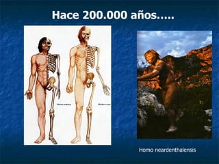 Homo neardenthalensis Hace 200.000 años….. 
