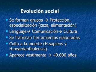 Evolución social Se forman grupos    Protección, especialización (caza, alimentación) Lenguaje   Comunicación   Cultura Se frabrican herramientas elaboradas Culto a la muerte (H.sapiens y H.neardenthalensis) Aparece vestimenta    40.000 años 