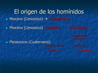 El origen de los homínidos 