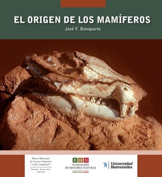 EL ORIGEN DE LOS MAMíFEROS 
Museo Municipal 
de Ciencias Naturales 
“Carlos Ameghino” 
Mercedes - Buenos Aires 
Argentina 
José F. Bonaparte 
 