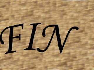 FIN