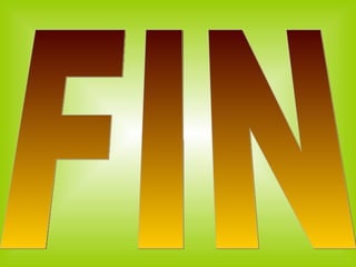 FIN 