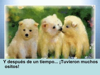 Y después de un tiempo... ¡Tuvieron muchos ositos! 