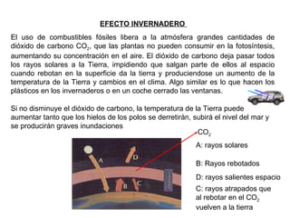 EFECTO INVERNADERO  El uso de combustibles fósiles libera a la atmósfera grandes cantidades de dióxido de carbono CO 2 , que las plantas no pueden consumir en la fotosíntesis, aumentando su concentración en el aire. El dióxido de carbono deja pasar todos los rayos solares a la Tierra, impidiendo que salgan parte de ellos al espacio cuando rebotan en la superficie da la tierra y produciendose un aumento de la temperatura de la Tierra y cambios en el clima. Algo similar es lo que hacen los plásticos en los invernaderos o en un coche cerrado las ventanas. Si no disminuye el dióxido de carbono, la temperatura de la Tierra puede aumentar tanto que los hielos de los polos se derretirán, subirá el nivel del mar y se producirán graves inundaciones A: rayos solares B: Rayos rebotados D: rayos salientes espacio C: rayos atrapados que  al rebotar en el CO 2 vuelven a la tierra  CO 2 