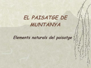 EL PAISATGE DE MUNTANYA Elements naturals del paisatge 