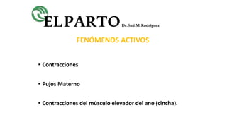 ELPARTODr.SaúlM.Rodríguez
FENÓMENOS ACTIVOS
• Contracciones
• Pujos Materno
• Contracciones del músculo elevador del ano (cincha).
 