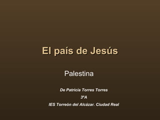 El país de Jesús Palestina  De Patricia Torres Torres 3ºA IES Torreón del Alcázar. Ciudad Real 