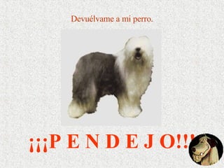 Devuélvame a mi perro. ¡¡¡P E N D E J O!!! 