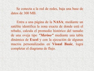 Se conecta a la red de redes, baja una base de datos de 300 MB.  Entra a una página de la  NASA ; mediante un satélite identifica la zona exacta de donde está el rebaño, calcula el promedio histórico del tamaño de una oveja tipo  "Merino"  mediante una tabla dinámica de  Excel  y con la ejecución de algunas macros personalizadas en  Visual Basic , logra completar el diagrama de flujo. 