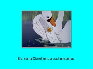 ¡Era mamà Cisne! junto a sus hermanitos. 