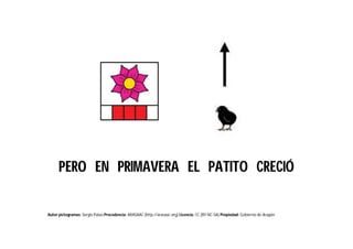 Autor pictogramas: Sergio Palao Procedencia: ARASAAC (http://arasaac.org) Licencia: CC (BY-NC-SA) Propiedad: Gobierno de Aragón
PERO EN PRIMAVERA EL PATITO CRECIÓ
 