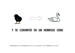 Autor pictogramas: Sergio Palao Procedencia: ARASAAC (http://arasaac.org) Licencia: CC (BY-NC-SA) Propiedad: Gobierno de Aragón
Y SE CONVIRTIÓ EN UN HERMOSO CISNE
 