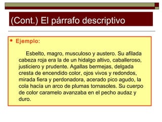 (Cont.) El párrafo descriptivo

   Ejemplo:

       Esbelto, magro, musculoso y austero. Su afilada
    cabeza roja era la de un hidalgo altivo, caballeroso,
    justiciero y prudente. Agallas bermejas, delgada
    cresta de encendido color, ojos vivos y redondos,
    mirada fiera y perdonadora, acerado pico agudo, la
    cola hacía un arco de plumas tornasoles. Su cuerpo
    de color caramelo avanzaba en el pecho audaz y
    duro.
 