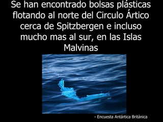Se  han encontrado bolsas plásticas flotando al norte del Circulo Ártico cerca de Spitzbergen e incluso mucho mas al sur, en las Islas Malvinas -  Encuesta Antártica Británica 