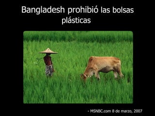 Bangladesh prohibió  las bolsas plásticas   - MSNBC.com 8 de  marzo , 2007 