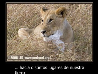 …  hacia distintos lugares de nuestra tierra 