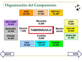 Organización del Campamento ASER  41,500 NEFTALÍ  53,400 JUDÁ  74,600 ISACAR  54,400 ZABULÓN  57,400 RUBÉN  46,500 SIMEÓN  59,300 GAD  45,650 EFRAÍN  40,500 MANASÉS  32,200 BENJAMÍN 35,400 DAN 62,700 Coatitas 8,600 Gersón 7,500 Moisés Aarón Meraritas 6,200 OESTE ESTE TABERNÁCULO 