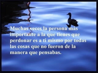 Muchas veces la persona más importante a la que tienes que perdonar es a ti mismo por todas las cosas que no fueron de la manera que pensabas. 