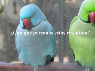 ¿Con qué personas estás resentido? 