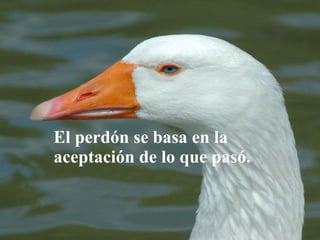 El perdón se basa en la aceptación de lo que pasó. 