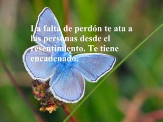 La falta de perdón te ata a las personas desde el resentimiento. Te tiene encadenado. 