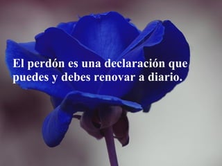 El perdón es una declaración que puedes y debes renovar a diario.   