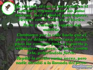 De repente, el can se incorporó en el asiento y, erguido sobre las patas traseras, tocó el timbre para bajarse, siempre con la bolsa en el hocico. Perro y carnicero bajaron del autobús. Caminaron por la calle hasta que el perro se detuvo en una casa, donde puso las compras junto a la puerta y, retirándose un poco, se lanzó contra ésta, golpeándola fuerte. Repitió la acción varias veces, pero nadie atendió a la llamada del perro. 