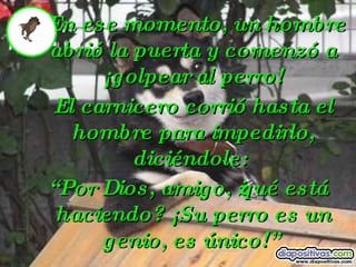 En ese momento, un hombre abrió la puerta y comenzó a ¡golpear al perro! El carnicero corrió hasta el hombre para impedirlo, diciéndole:  “ Por Dios, amigo, ¿qué está haciendo? ¡ Su perro es un genio, es único!”  