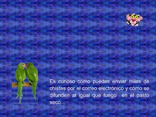 Es curioso cómo puedes enviar miles de chistes por el correo electrónico y cómo se difunden al igual que fuego  en el pasto seco... 