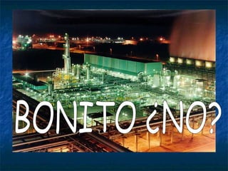 BONITO ¿NO? 