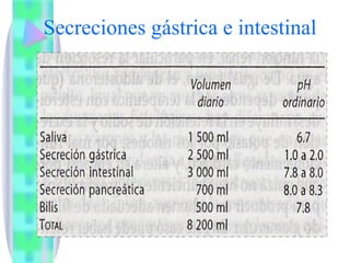 Secreciones gástrica e intestinal 
