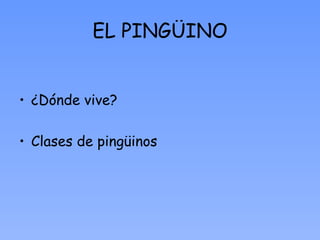 EL PINGÜINO ,[object Object],[object Object]