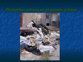 Elementos activos en el paisaje urbano 