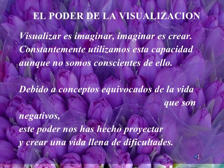 El Poder De La Visualizacion