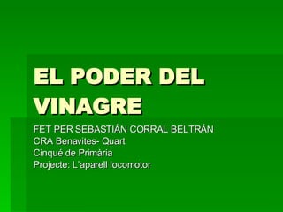 EL PODER DEL VINAGRE FET PER SEBASTIÁN CORRAL BELTRÁN CRA Benavites- Quart Cinqué de Primària Projecte: L’aparell locomotor 