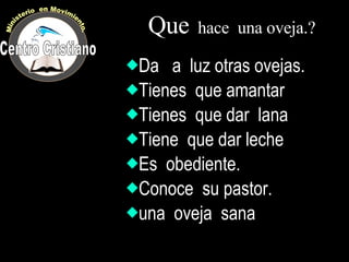 Que   hace  una oveja.? Da  a  luz otras ovejas. Tienes  que amantar Tienes  que dar  lana Tiene  que dar leche Es  obediente. Conoce  su pastor. una  oveja  sana Centro Cristiano Ministerio  en Movimiento. 