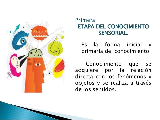 El procesodeconocimiento