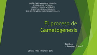 El proceso de
Gametogénesis
REPÚBLICA BOLIVARIANA DE VENEZUELA
UNIVERSIDAD YACAMBÚ
VICERRECTORADO ACADÉMICO
FACULTAD DE HUMANIDADES
DEPARTAMENTO DE ESTUDIOS GENERALES
Bachiller:
• Rodriguez P. Jean F.
Caracas 14 de febrero de 2016
 