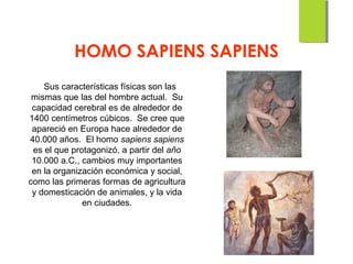 Sus características físicas son las
mismas que las del hombre actual. Su
capacidad cerebral es de alrededor de
1400 centímetros cúbicos. Se cree que
apareció en Europa hace alrededor de
40.000 años. El homo sapiens sapiens
es el que protagonizó, a partir del año
10.000 a.C., cambios muy importantes
en la organización económica y social,
como las primeras formas de agricultura
y domesticación de animales, y la vida
en ciudades.
HOMO SAPIENS SAPIENS
 