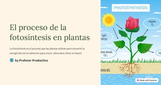 El proceso de la
fotosíntesis en plantas
La fotosíntesis es el proceso que las plantas utilizan para convertir la
energía del sol en alimento para crecer. ¡Descubre cómo lo hacen!
by Profesor Productivo
 