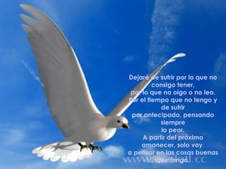 Dejaré de sufrir por lo que no consigo tener, por lo que no oigo o no leo. Por el tiempo que no tengo y de sufrir por antecipado, pensando siempre lo peor. A partir del próximo amanecer, solo voy  a pensar en las cosas buenas que tengo. 