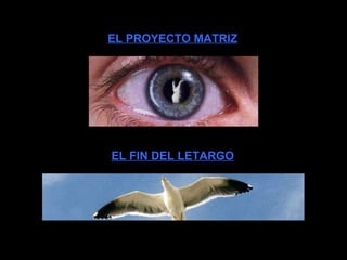 EL FIN DEL LETARGO EL PROYECTO MATRIZ 