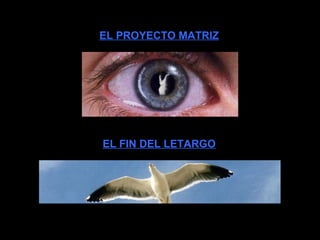 EL FIN DEL LETARGO
EL PROYECTO MATRIZ
 