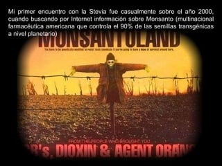 Mi primer encuentro con la Stevia fue casualmente sobre el año 2000, cuando buscando por Internet información sobre Monsanto (multinacional farmacéutica americana que controla el 90% de las semillas transgénicas a nivel planetario) 