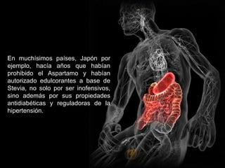 En muchísimos países, Japón por ejemplo, hacía años que habían prohibido el Aspartamo y habían autorizado edulcorantes a base de Stevia, no solo por ser inofensivos, sino además por sus propiedades antidiabéticas y reguladoras de la hipertensión. 