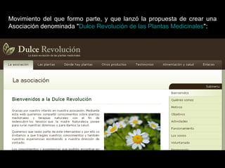 Movimiento del que formo parte, y que lanzó la propuesta de crear una Asociación denominada " Dulce Revolución de las Plantas Medicinales ": 