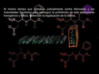 Al mismo tiempo que luchaban judicialmente contra Monsanto y las
Autoridades Sanitarias para conseguir la prohibición de este edulcorante
transgénico y tóxico, defendían la legalización de la Stevia.
 