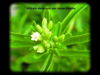 * Artículo elaborado por Josep Pàmies
 