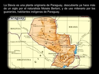 La Stevia es una planta originaria de Paraguay, descubierta ya hace más
de un siglo por el naturalista Moisés Bertoni, y de uso milenario por los
guaraníes, habitantes indígenas de Paraguay.
 